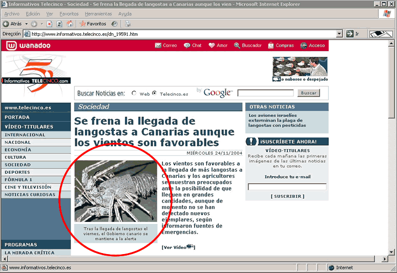 langostas...