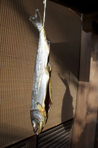 Kawarazaca