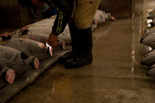 Tsukiji