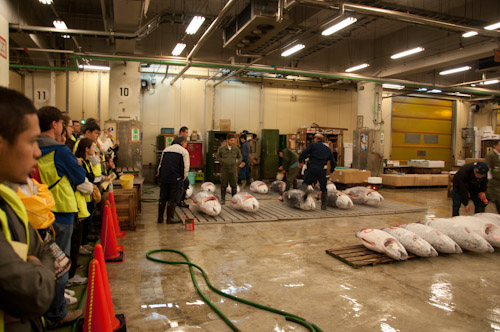 Tsukiji
