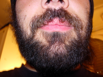 barba