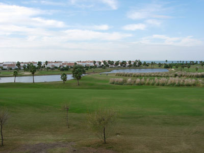 La ballena