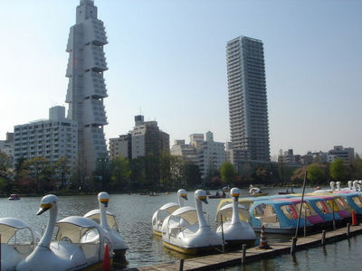 barcas
