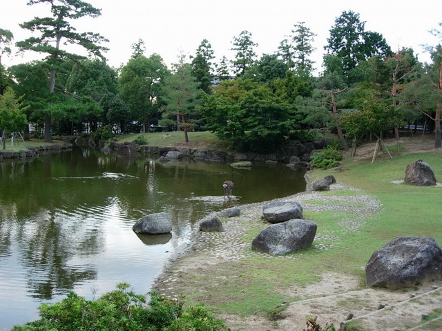 Japon