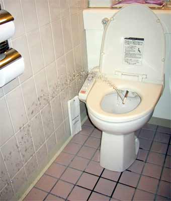 washlet