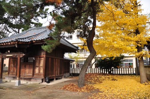 niigata07.jpg
