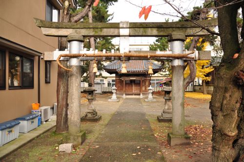 niigata09.jpg
