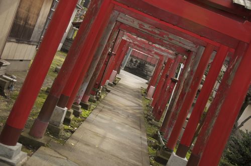 niigata16.jpg