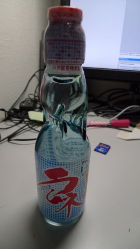P1050603